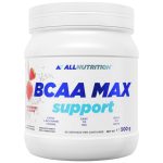 BCAA Max support 500gr